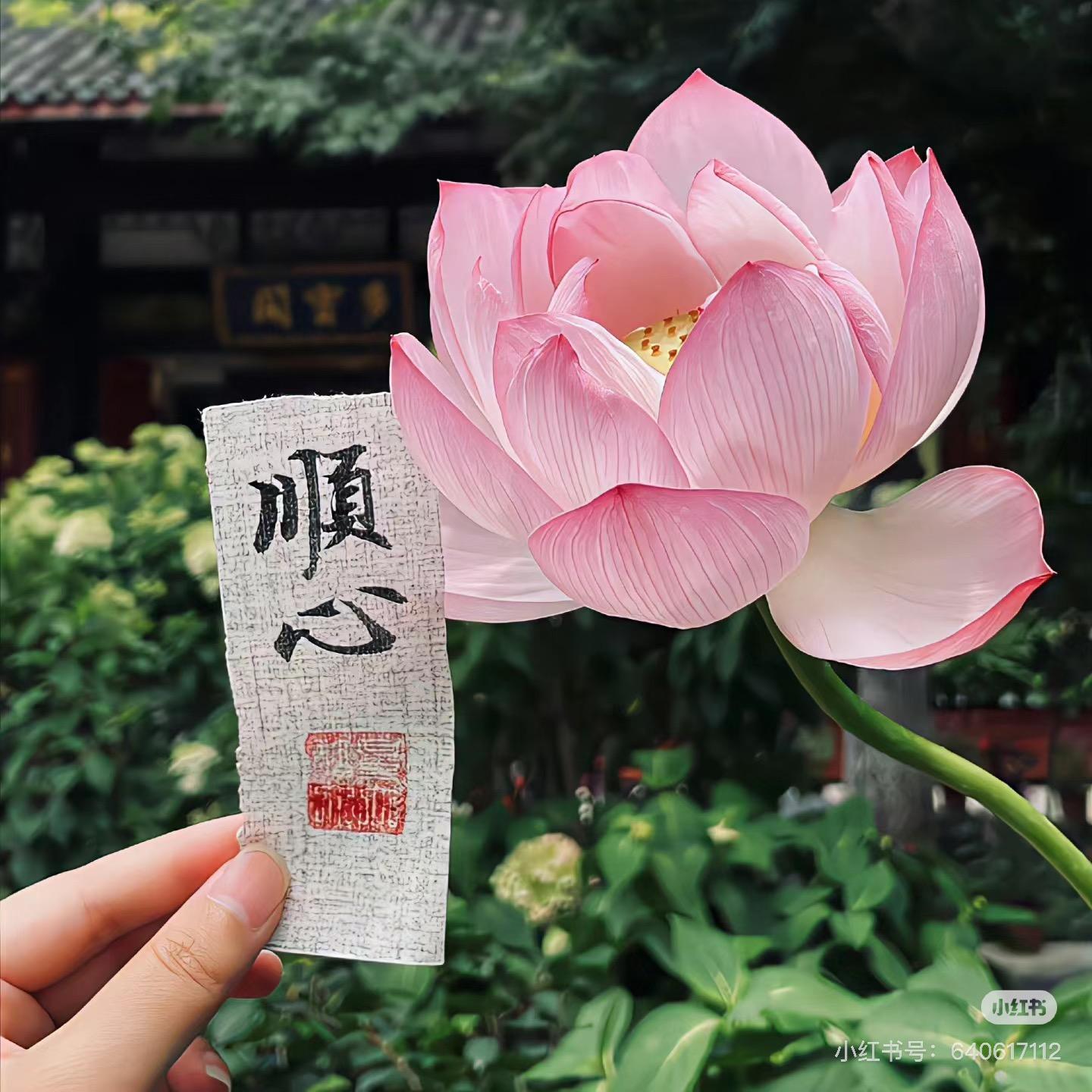 沐阳的手作坊