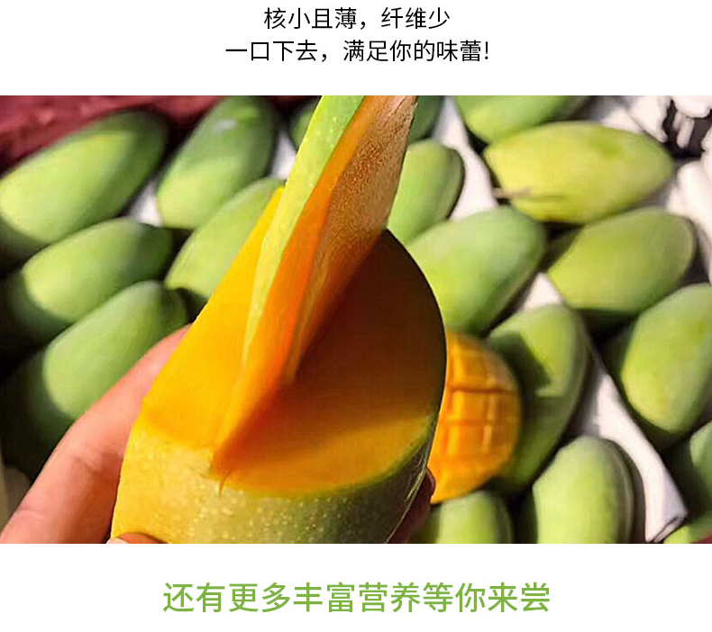 广西百色 金煌芒 净重5斤 单果200g+ 图5