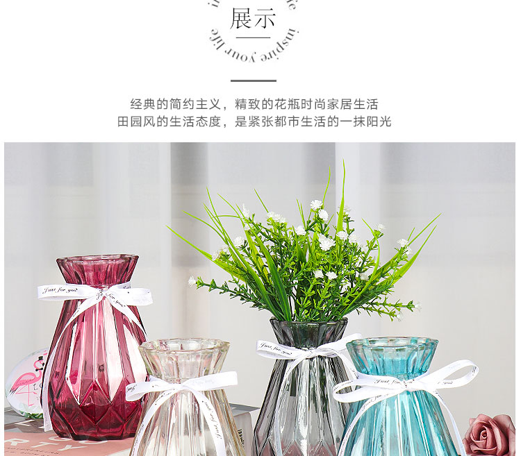 Bình thủy tinh sáng tạo Châu Âu đơn giản nhà máy nước xanh đồ dùng dụng cụ trang trí phòng khách hoa văn hóa nước bình khô - Vase / Bồn hoa & Kệ chậu ghép thông minh