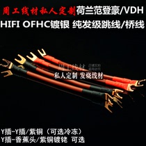 Dutch Van Den Haute VDH Silver Plated Hair Burning Grade Horn Line Speaker Jumper Bridge Wire Sound Horn Distraction Line