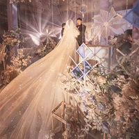 Блестки для ногтей, цвета шампанского, 4м, 2м