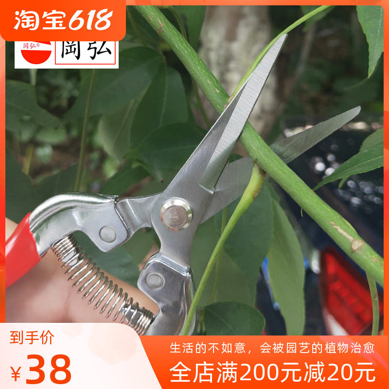 Okahiro 318 Picking Fruit Shoots Cut straight Head Pruning Scissors for Fruits Rare Fruit Branches Cut and Blossom Cut Fruit Tree Bonsai Cut