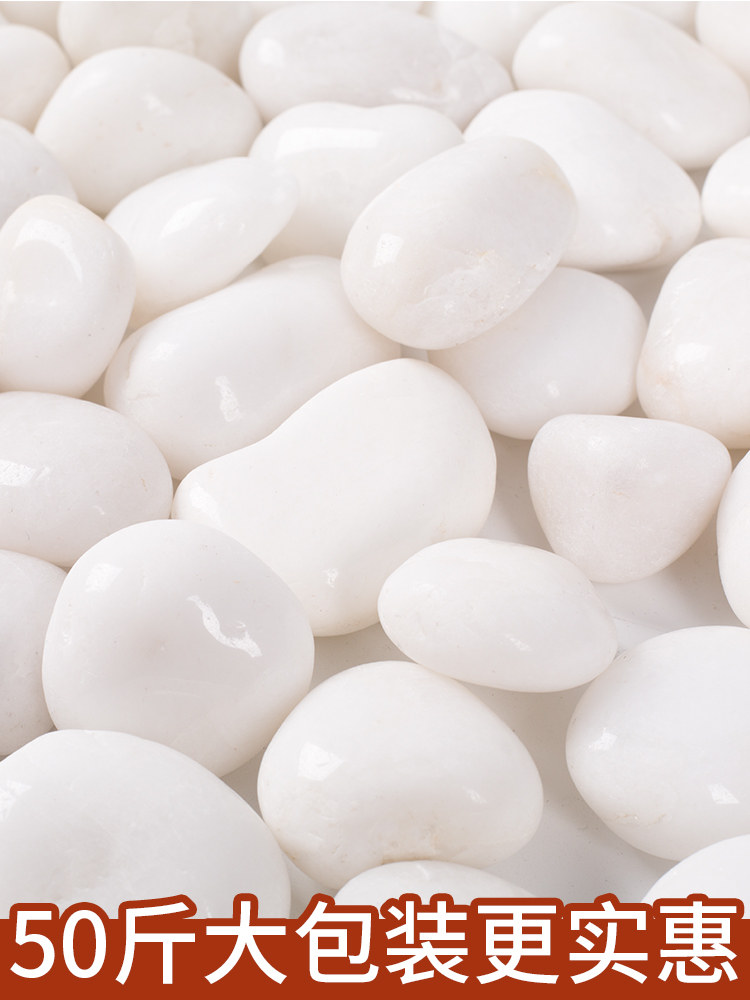White pebbles rain stone Rough stone courtyard paving soft stone Household fish tank landscaping Natural fine throwing small stone