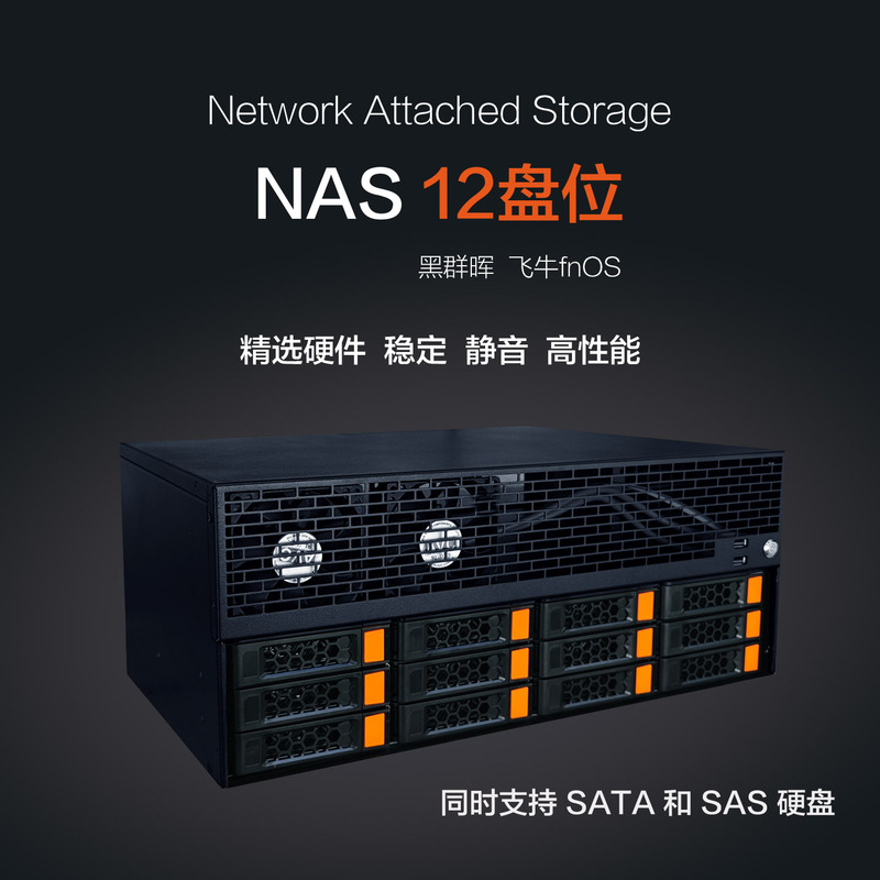 12-Bay Black Synology Feiniu Os 10 Gigabit Nas Network Disk Private Cloud Storage Low Power Consumption Silent Operation High Performance