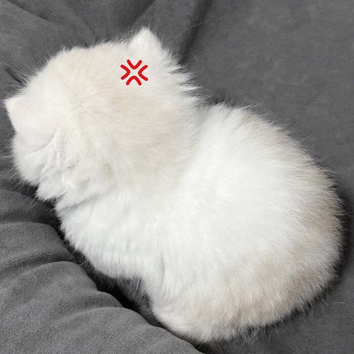 闪闪发光饰品