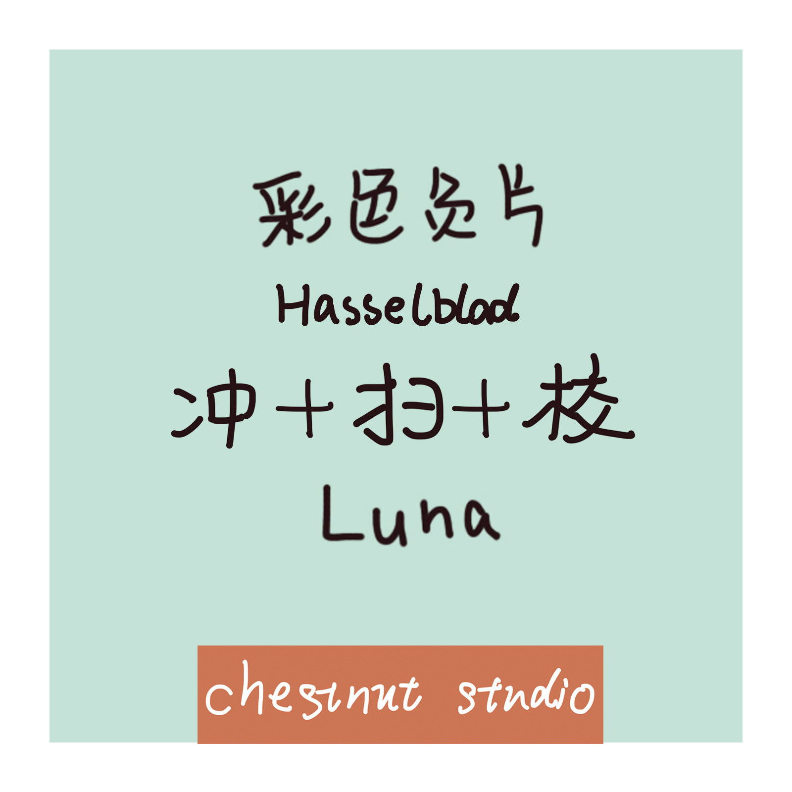 (Chestnut Image) luna Color Negative C41 Hasselblad Flush Scan Color Correction