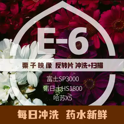 (Chestnut image)Reverse film Flush scan positive film E6 Flush Hasselblad X5 Scan slide