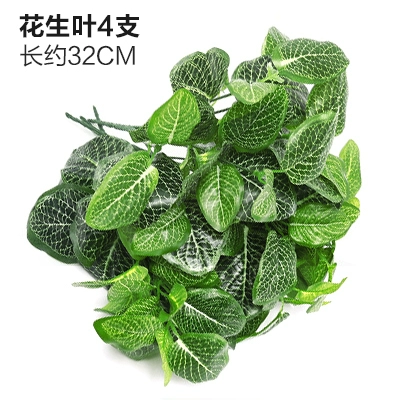 Зеленое растение Стенка Стены Растение настенные лужайки