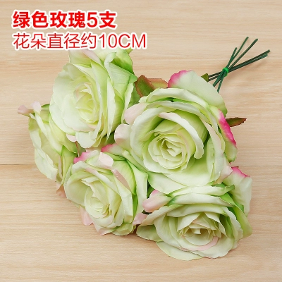 Зеленое растение Стенка Стены Растение настенные лужайки