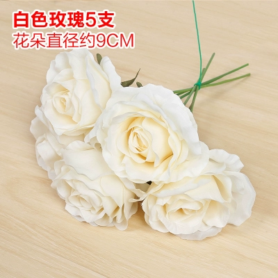 Зеленое растение Стенка Стены Растение настенные лужайки