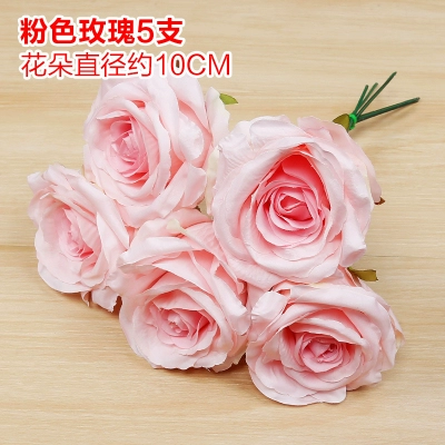 Зеленое растение Стенка Стены Растение настенные лужайки