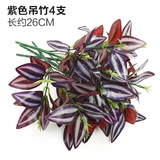 Зеленое растение Стенка Стены Растение настенные лужайки