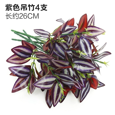 Зеленое растение Стенка Стены Растение настенные лужайки