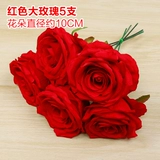 Зеленое растение Стенка Стены Растение настенные лужайки