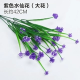 Зеленое растение Стенка Стены Растение настенные лужайки