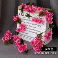 Роза красная