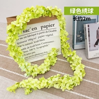 Зеленая гортеня [2 штуки]