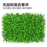 Зеленое растение Стенка Стены Растение настенные лужайки