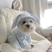 (Предпродасть составляет около 5 дней, без возврата или обмена)