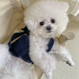 Джинсовый жилет с бантиком, куртка, коллекция 2022