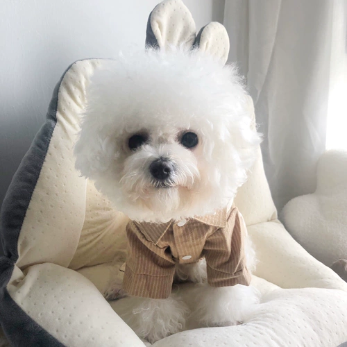 Клейкий рис, комплект, рубашка, платье, в британском стиле