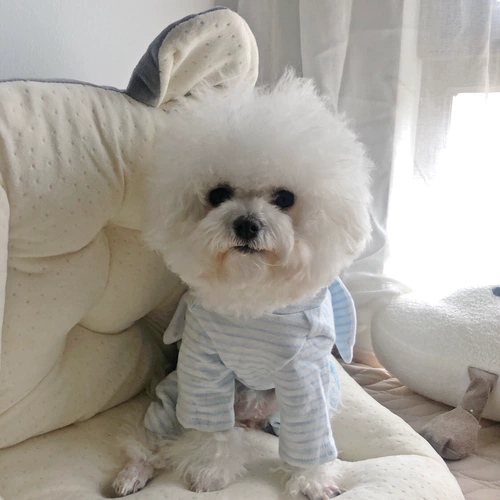 Клейкий рис, пижама, комфортная толстовка с капюшоном