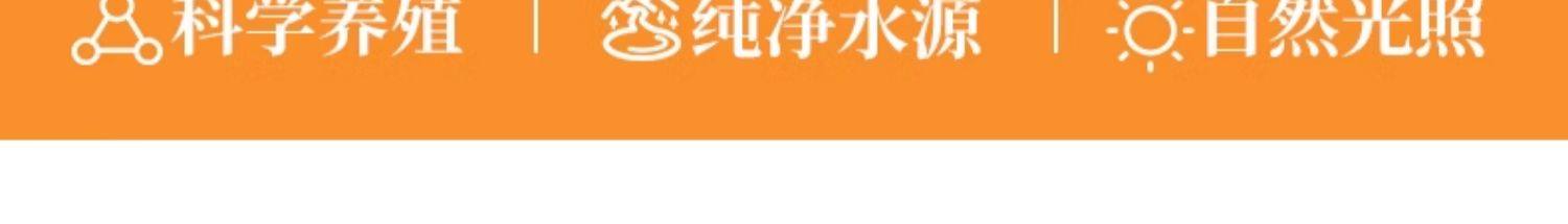 【中國直郵】 初吉 溏心蛋流心蛋 熟食即食糖心蛋滷蛋早餐速食營養健康小零食品 40g*10枚/盒