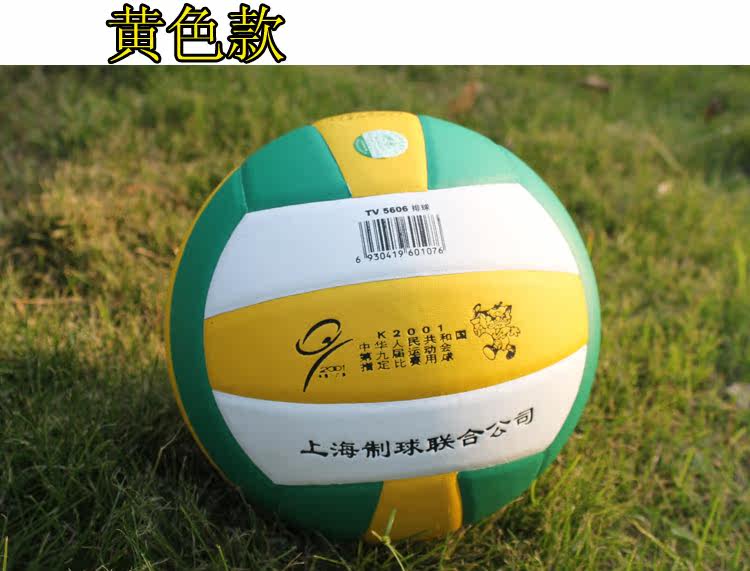 Ballon de volley-ball - Ref 2015506 Image 17