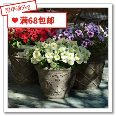 Flower edge Pickles imported flower seeds * Pan American * Petunia * Petunia * Mirage series 10 pills
