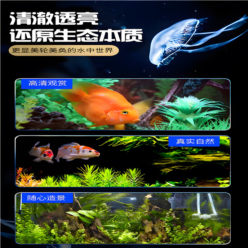 选择新款鱼缸，打造客厅风水美景的秘密是什么？