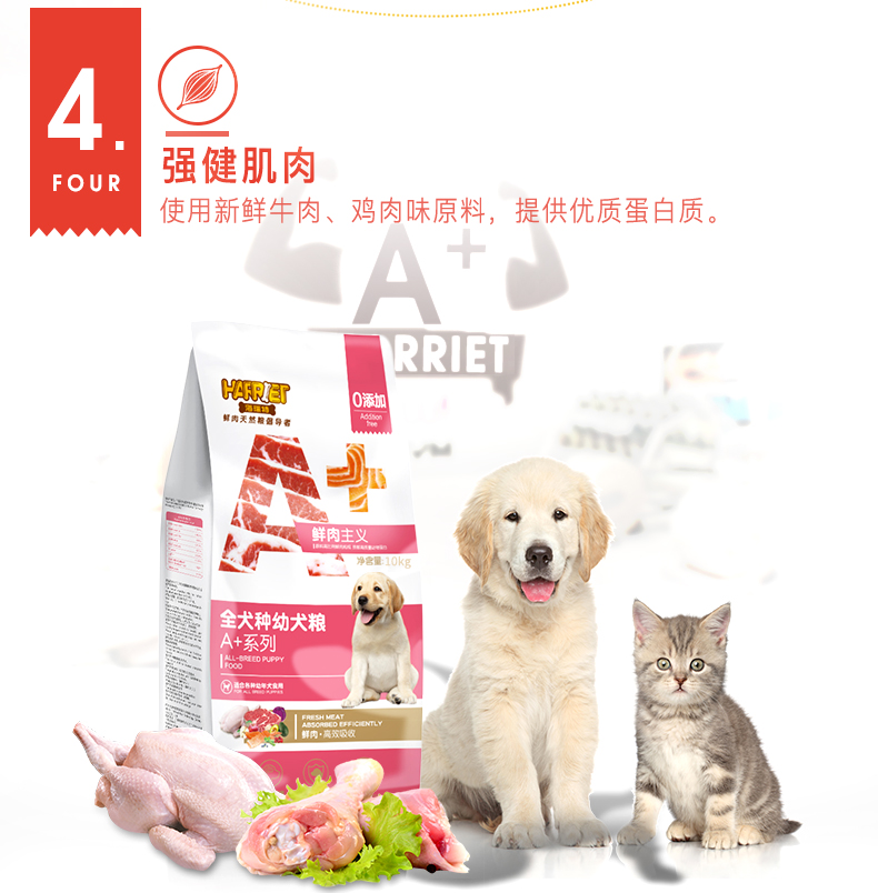 Hairuite dog thức ăn phổ biến chó con thực phẩm bánh sữa thịt tươi thức ăn cho chó 20 kg Teddy Golden Retriever giống chó A + thịt tươi - Chó Staples thức ăn cho chó giá rẻ