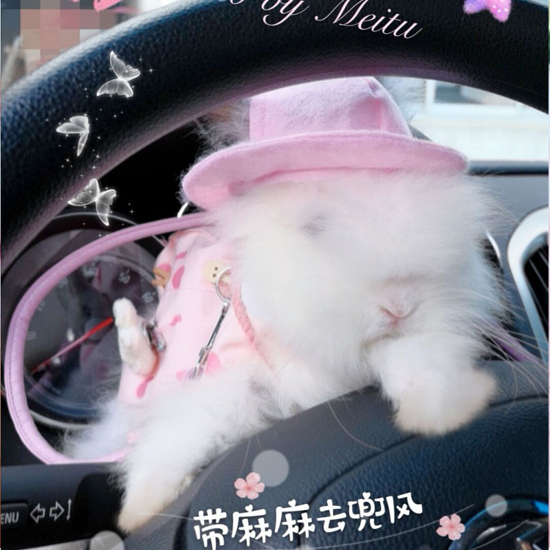 Pet Clothes Rabbit Clothes Small Dog Dresses Kittens Ferrets Traction Rope Guinea Pig Hat