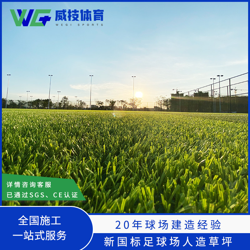 Simulation Lawn Outdoor Kindergarten Fake Turf Engineering Enclosure Decoration Fake Grass Artificial Lawn Construction with NoENO