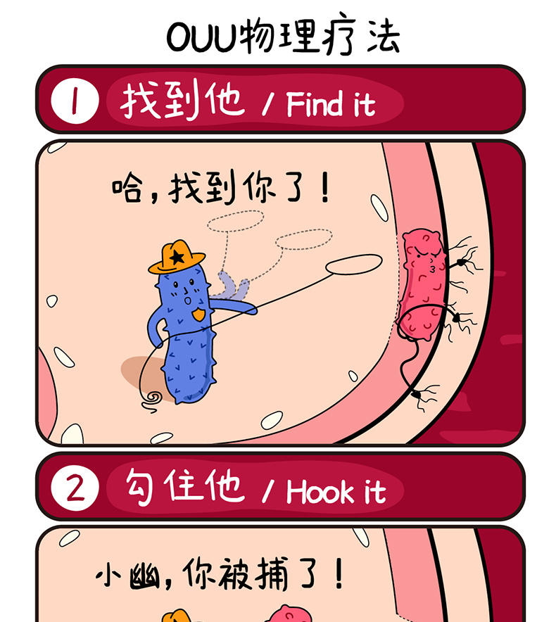 瑞士OUU罗伊氏乳杆菌益生菌口服内服