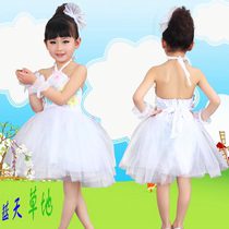 Girls kindergarten June 1 Childrens Day Sling dance performance costume Flower princess dress performance suit Puffy yarn dress