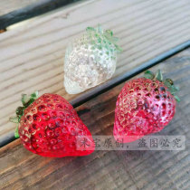 Hermit crab supplies replacement shell strawberry shell transparent crystal cat claw shell plexiglass 3D printing resin conch