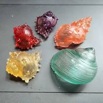 Transparent crystal shell pet hermit crab replacement shell bean diced crab house 3D printing conch plexiglass