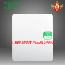 Schneider distribution box strong electric box Tianlang concealed opaque door double row 24-Circuit air distribution box TLA24B