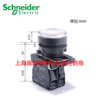 Original Schneider white flat head with light button XB5AW31B1C 24V 1 normally open