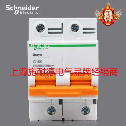 Schneider Easy9 series air switch EA9AH circuit breaker 2P 100A EA9AH2C100NEW