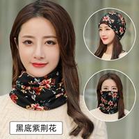 Баухиния со светло -серым черным фоном