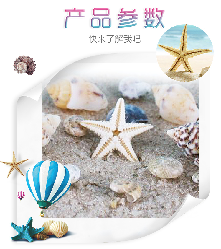 Nhật bản Nail Art Trang Sức New Starfish Shell Set Nail Sticker Hàn Quốc Gió Đại Dương Abalone Seashell Công Cụ Làm Móng Tay máy làm nail