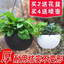 Narcissus flowerpot hanging hanging creative personality hanging green indoor hanging large European style external planting box hanging hanging I