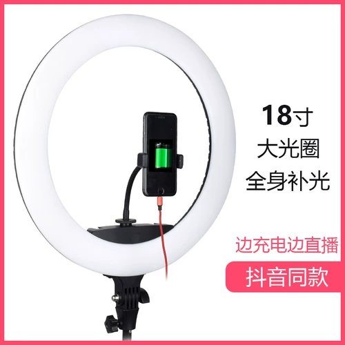 Живое тоническое освещение освещение якорь кожа красота кожа кожа и тонкая лицевая блестящая большая апертура 18 -дюймовая сеть красная выделенная камера вибрато