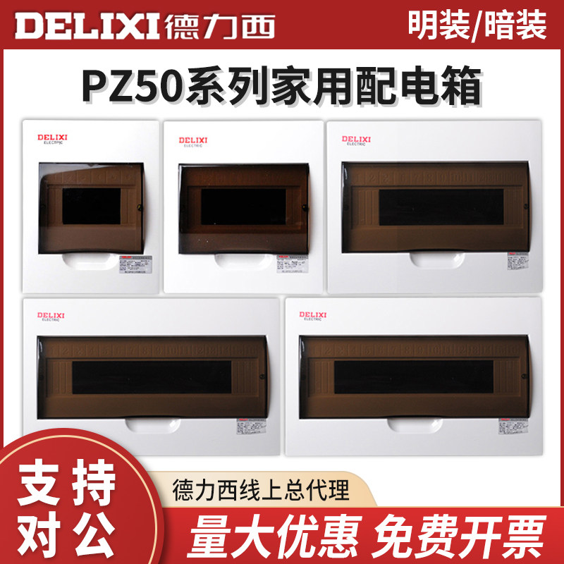 Delixi Electric household surface mounted control electric box lighting distribution box strong electric box PZ50 12 6 circuits