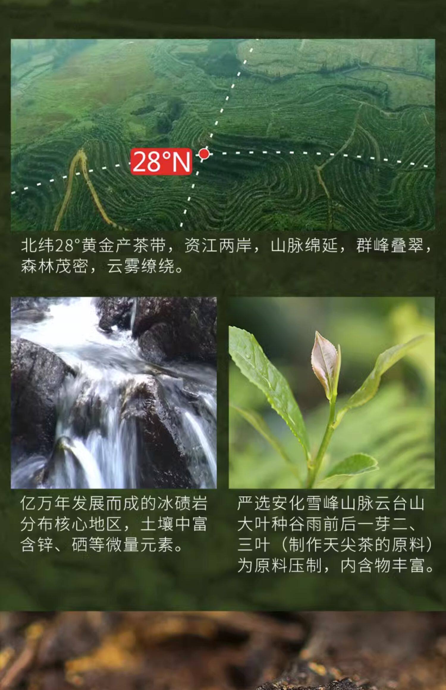 黑茶湖南安化正品白沙溪金花茯砖茶天尖茶正宗茯茶手筑天茯茶1kg 黑茶湖南安化正品白沙溪金花茯砖茶天尖茶正宗茯茶手筑天茯茶1kg