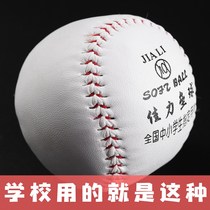 Standard softball elementary school sports beginner training set Exam special solid baseball 10-inch Jiali