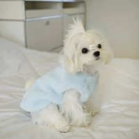 Синий должен отправить от одной до двух недель