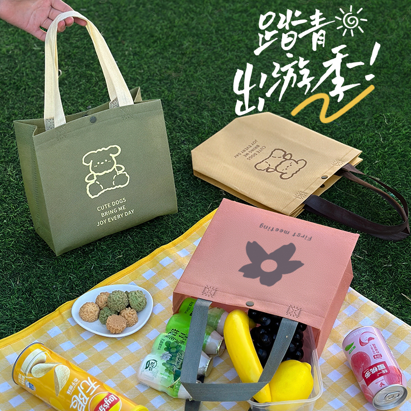 Camping Picnic Tote Bag Thickeneded Non-Woven Storage Bag Snack Fruit Large Capacity Lightweight Packaging Bag Y62