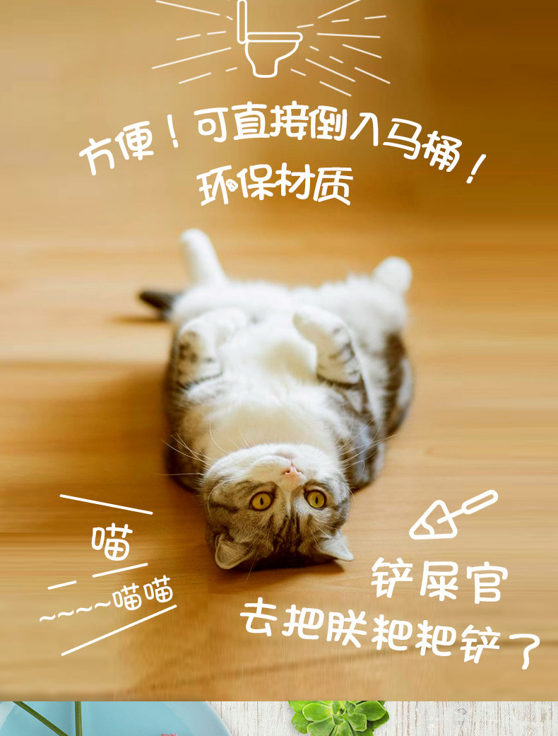 Đậu hũ mèo có thể xả nước vệ sinh trà xanh hương vị sữa hương vị ban đầu 6L khử mùi cụm 2,5kg cát cát ưu đãi đặc biệt - Cat / Dog Beauty & Cleaning Supplies lược chải lông poodle